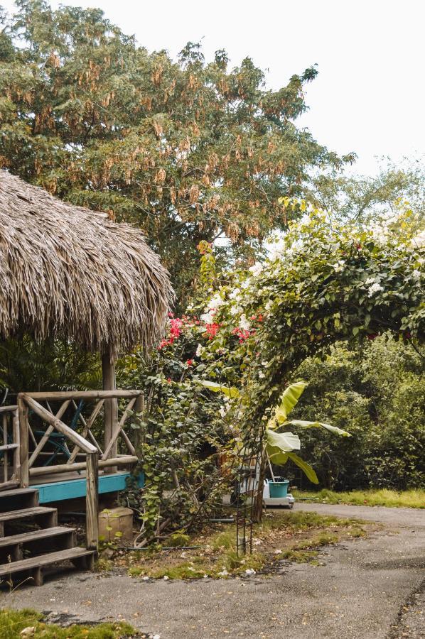 Mondi Lodge Dorp Dorp Sint Michiel Dış mekan fotoğraf