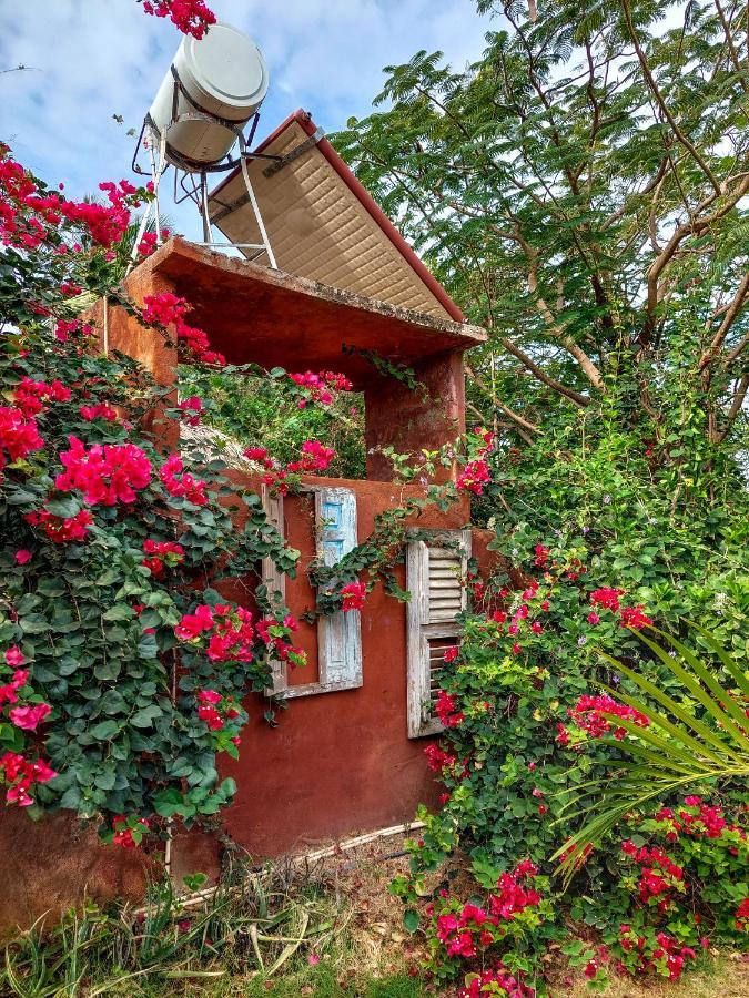 Mondi Lodge Dorp Dorp Sint Michiel Dış mekan fotoğraf