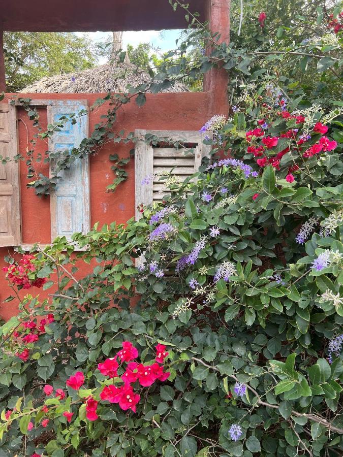 Mondi Lodge Dorp Dorp Sint Michiel Dış mekan fotoğraf