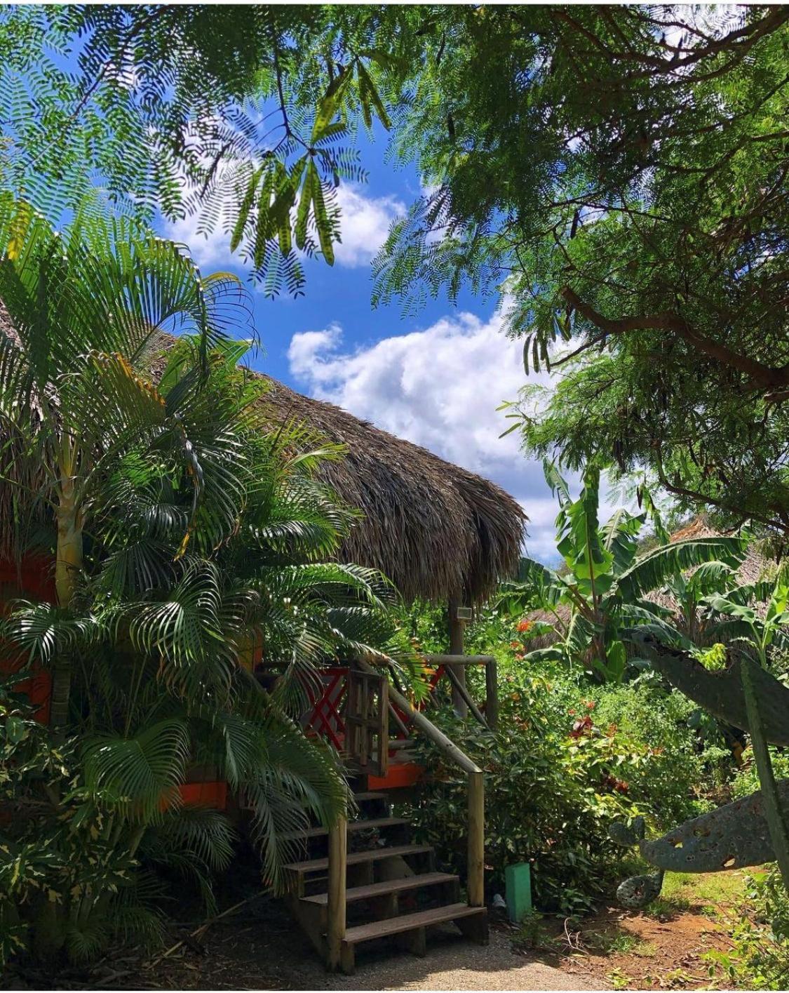 Mondi Lodge Dorp Dorp Sint Michiel Dış mekan fotoğraf